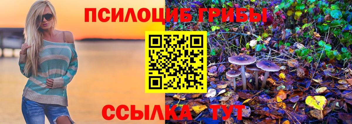 Галлюциногенные грибы Psilocybe Лобня